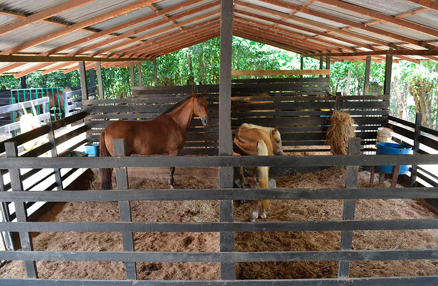 Stables